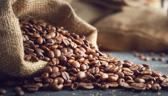 بن هرري لونج بيري
